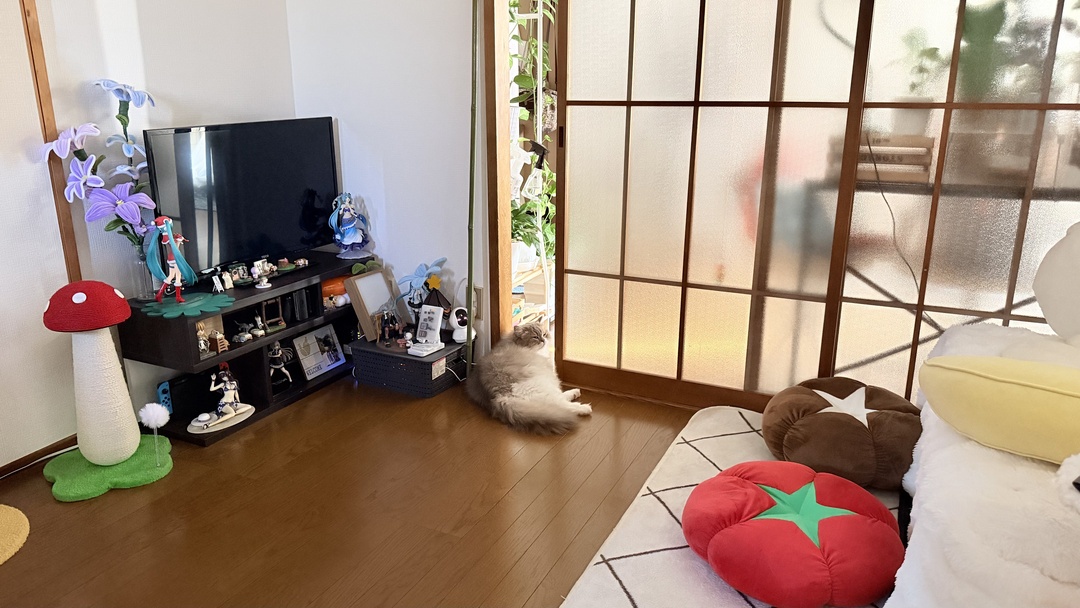 2026 年 8 月 3 日
